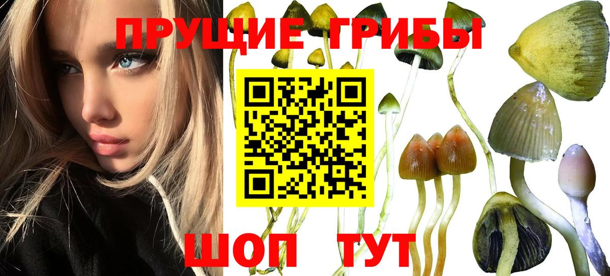 Галлюциногенные грибы ЛСД  Вход с VPN  Гусь-Хрустальный 