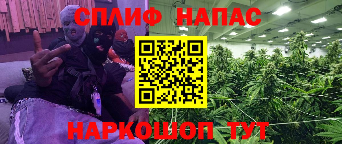 Бошки марихуана VHQ  Вход с VPN  Гусь-Хрустальный  МАРИХУАНА Ganja  Марихуана сатива 
